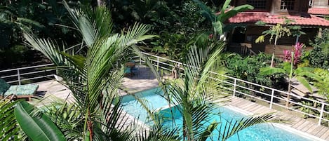 Piscine extérieure, parasols de plage, chaises longues