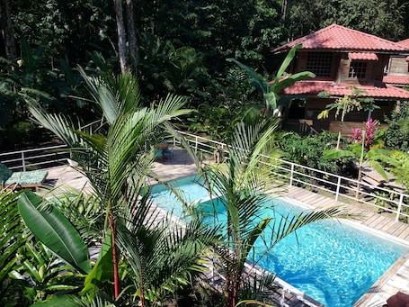 Outdoor pool, pool umbrellas, sun loungers