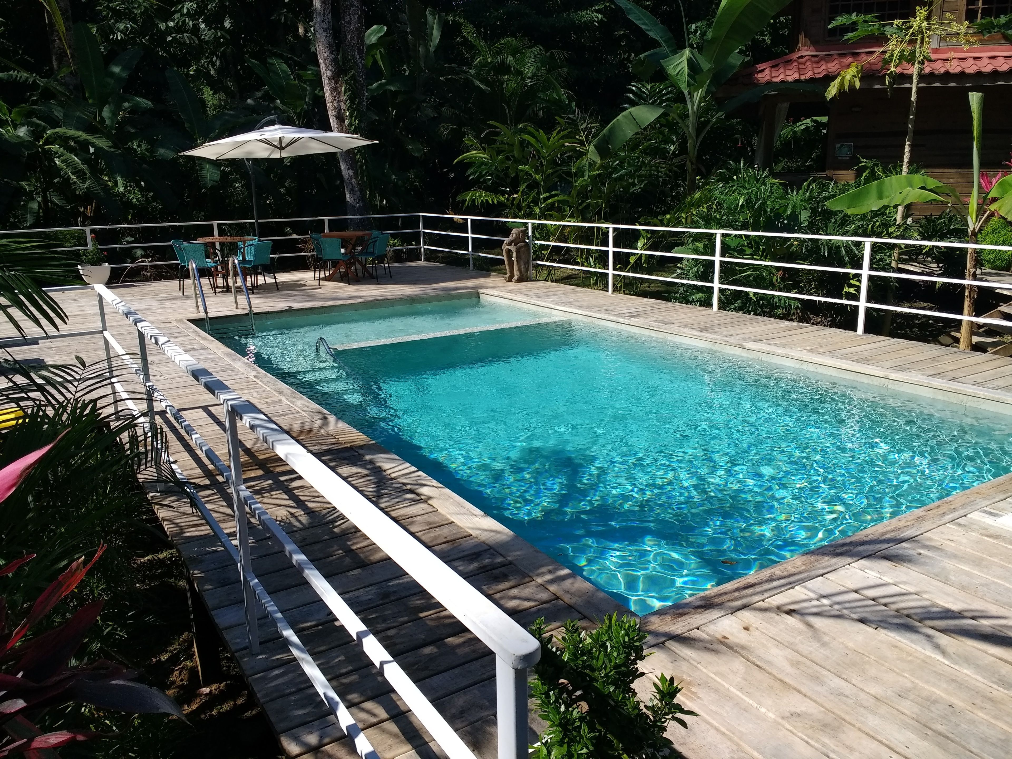 Una piscina al aire libre, sombrillas, tumbonas