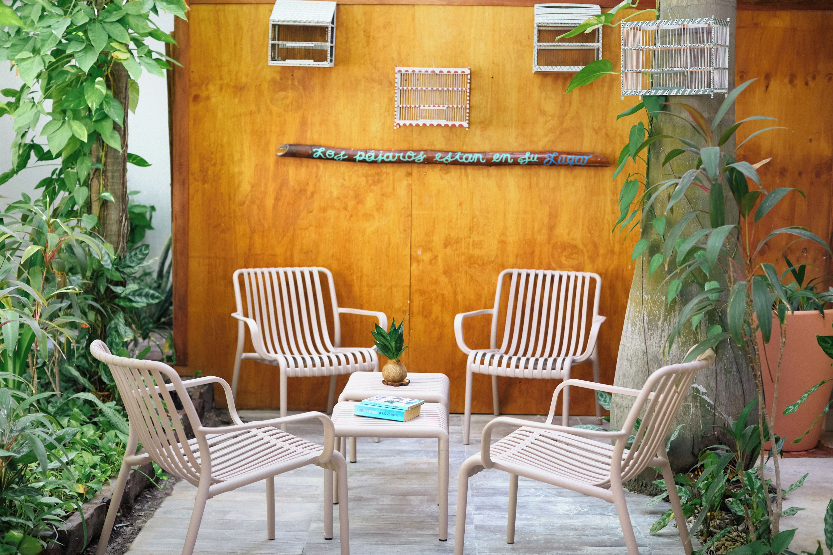 Foto - Hotel Siesta Holbox