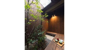 A traditional Japanese-style room with a wooden table, a low bench, and a small garden area with a tree and plants. - Toji Akebono-an (Kyoto)