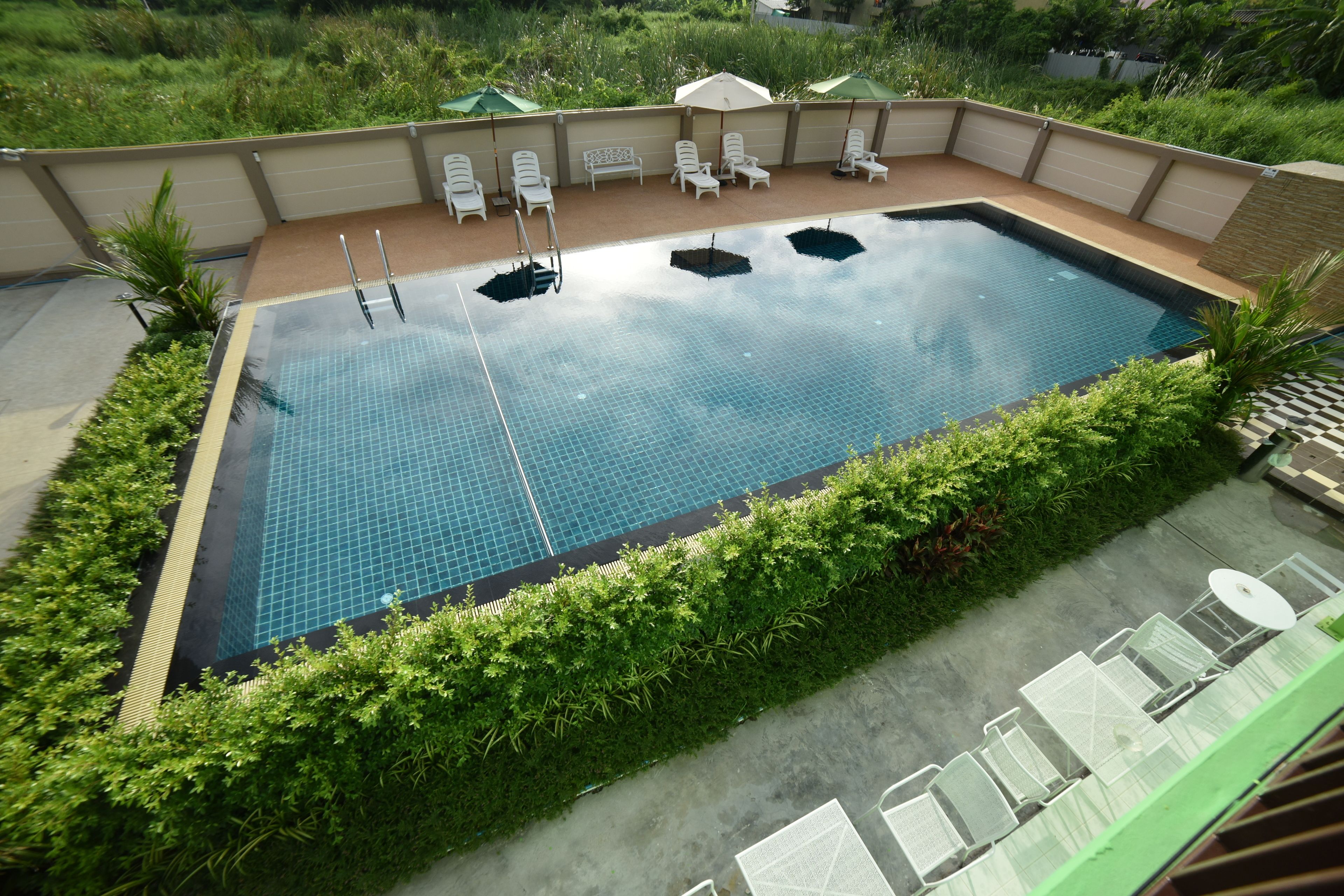 A rectangular swimming pool with a tiled deck, surrounded by a low hedge and several lounge chairs.