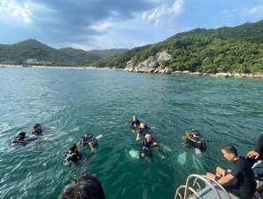 Traditional Bungalow | Beach/ocean view