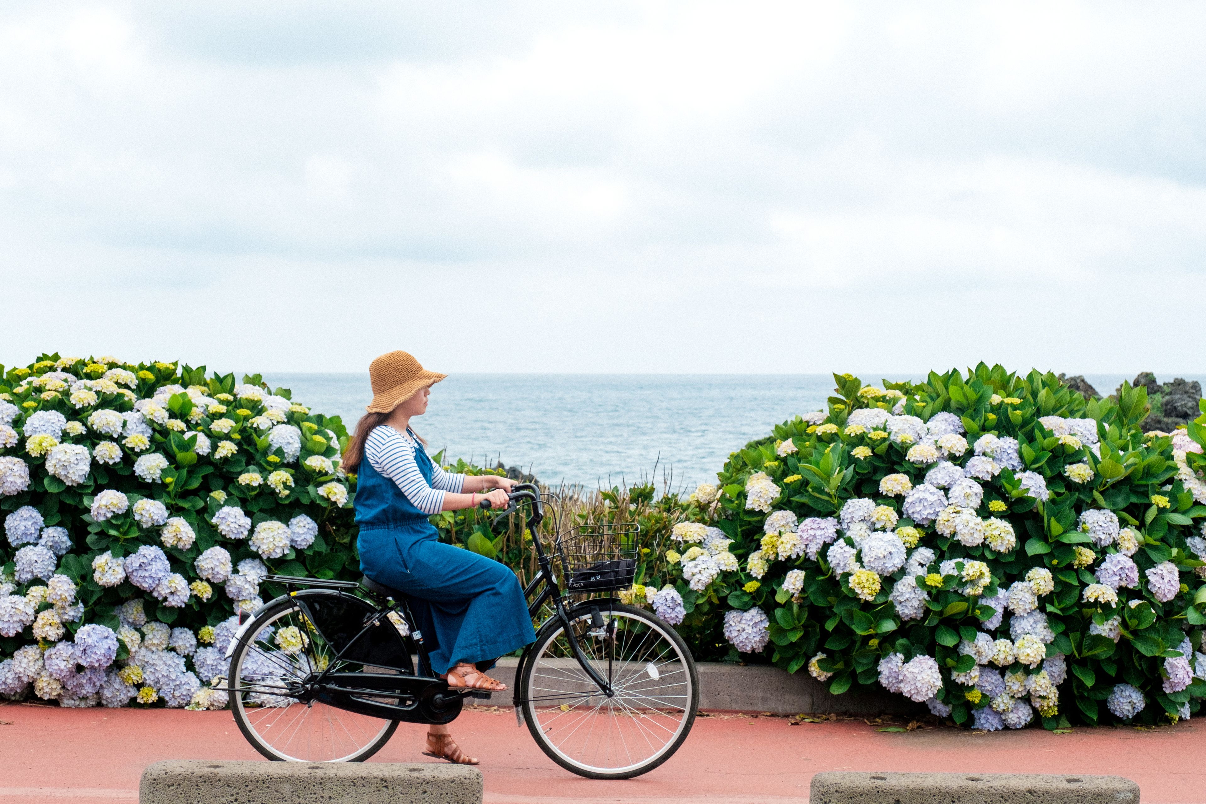 Photo - Playce Camp Jeju