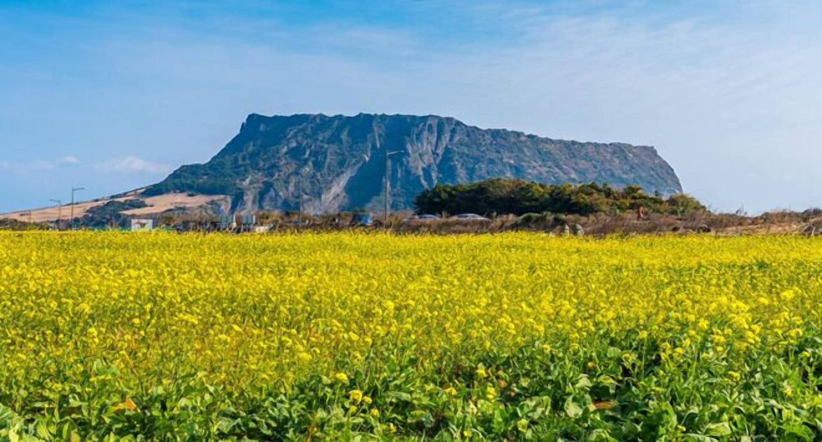 Hochwertige Bettwaren, Daunenbettdecken, Verdunkelungsvorhänge