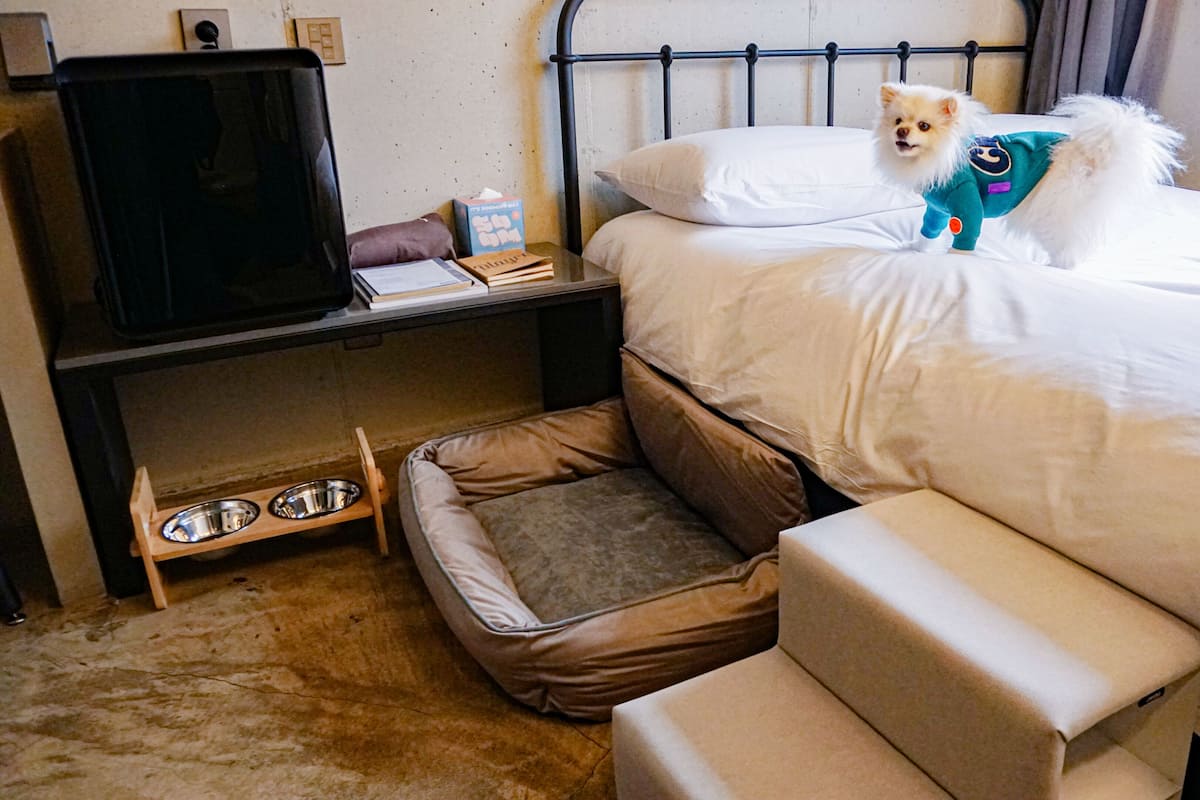 A pet-friendly room with a bed, a pet bed, a TV, a small table with a book and a tissue box, and a pet bowl.
