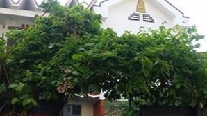 Front of property - Sovanphum Villa - Hostel (Phnom Penh)