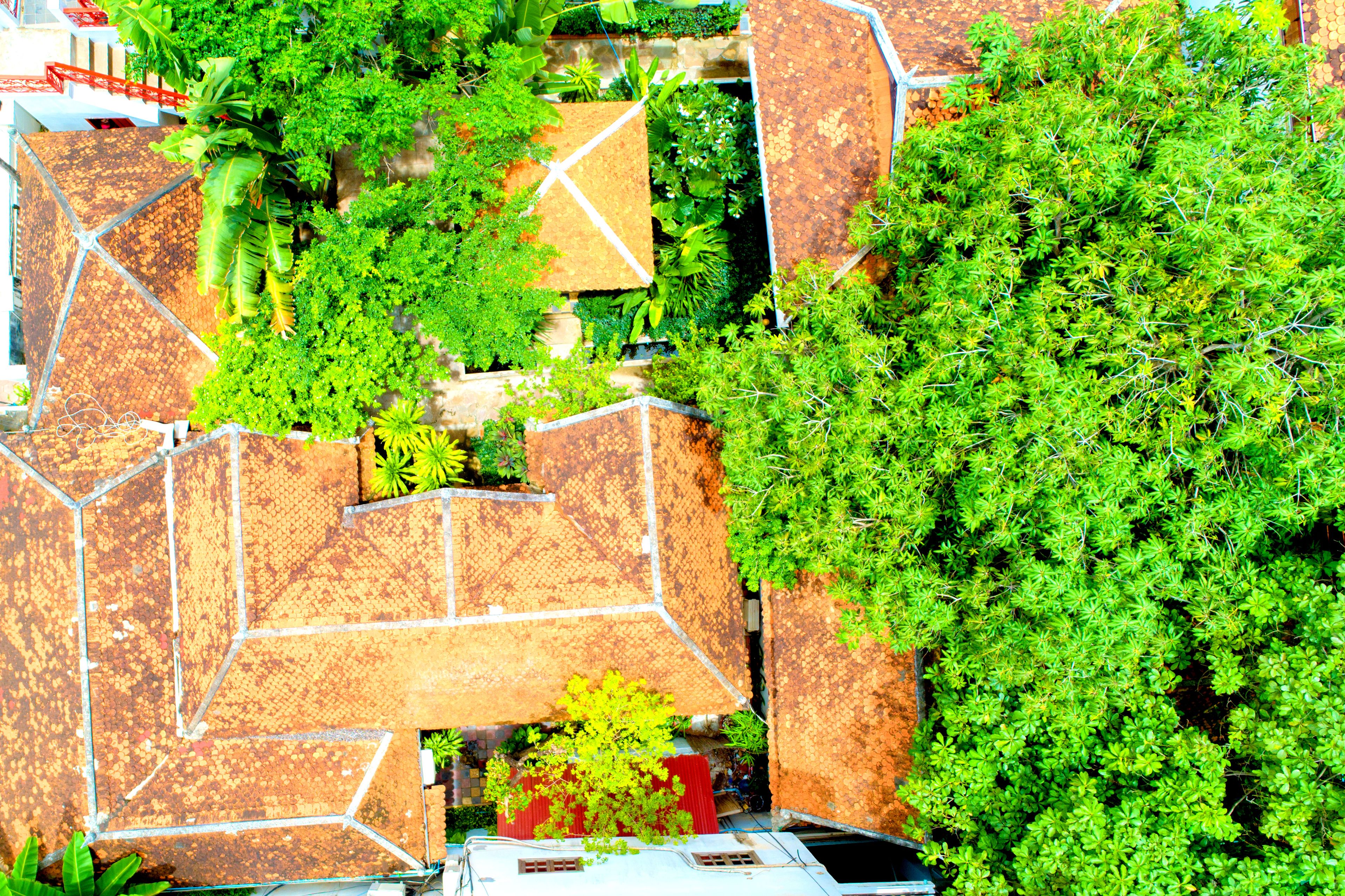 Foto - Villa Wat Damnak