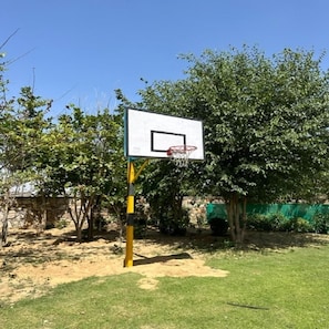 A basketball hoop with a net, set up in a grassy area with trees in the background. - Achrol Niwas A Treehouse Resort (Amer)