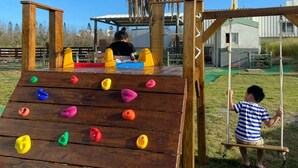 A wooden climbing structure with colorful handholds and a swing set. - Big Fish House (Magong)