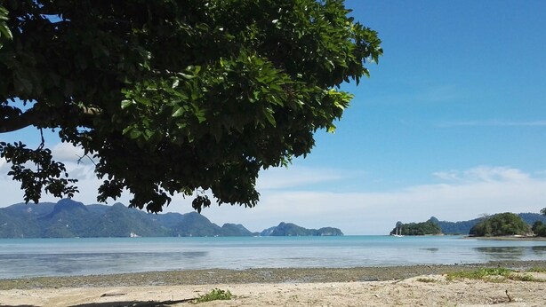 A beach with clear water, distant mountains, and dense forest. - Tropical Eco Camping (Langkawi)