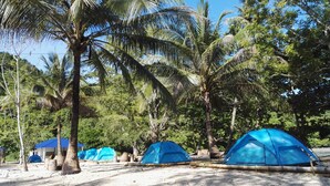 A campsite with multiple blue tents, surrounded by palm trees and a clear sky. - Tropical Eco Camping (Langkawi)