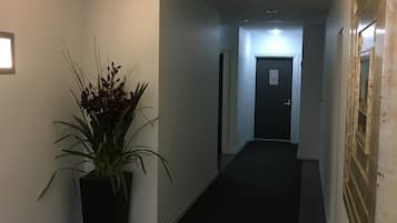 A hallway with a potted plant, a door at the end, and a wall-mounted light fixture.