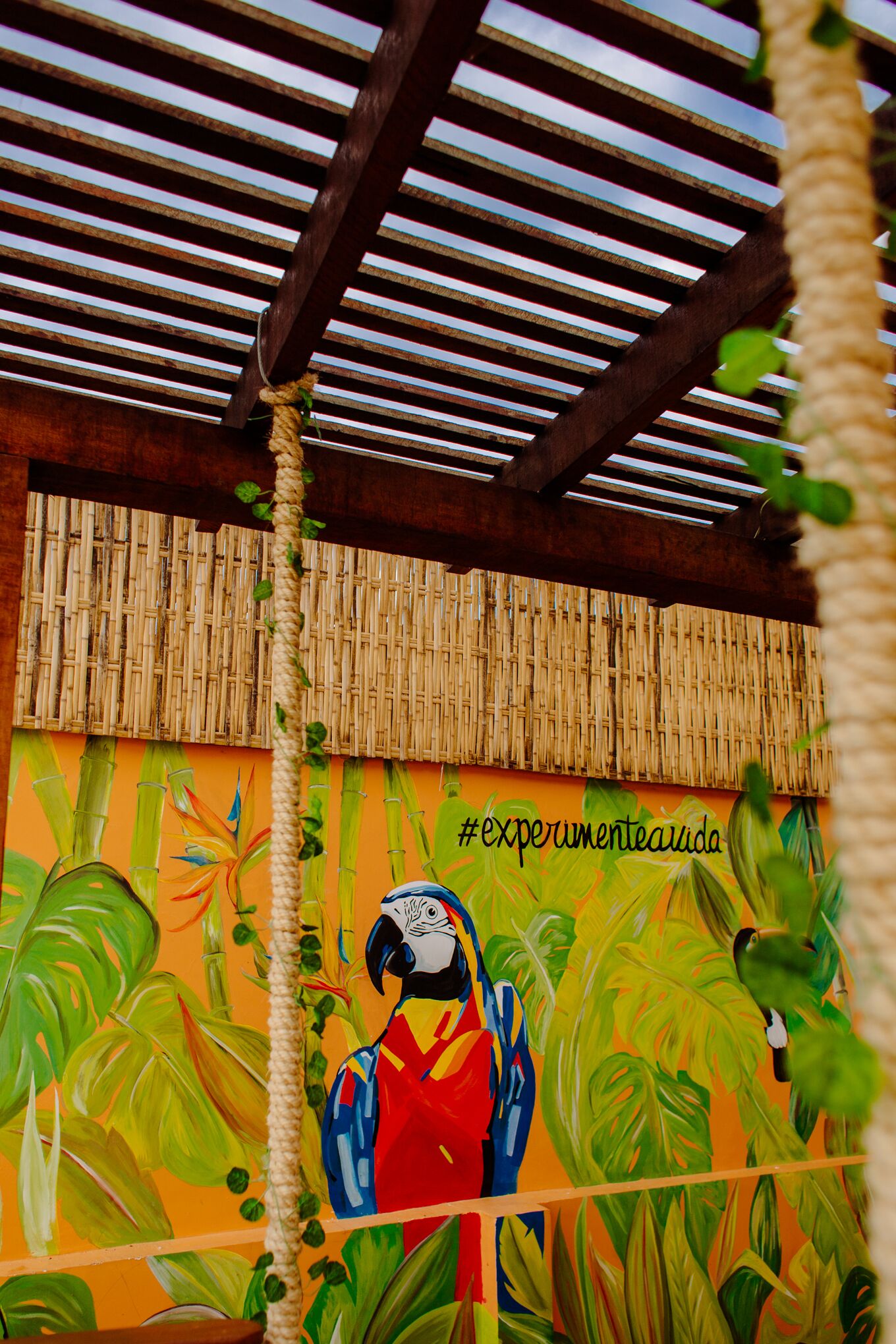 Foto - Bamboo Búzios Hostel