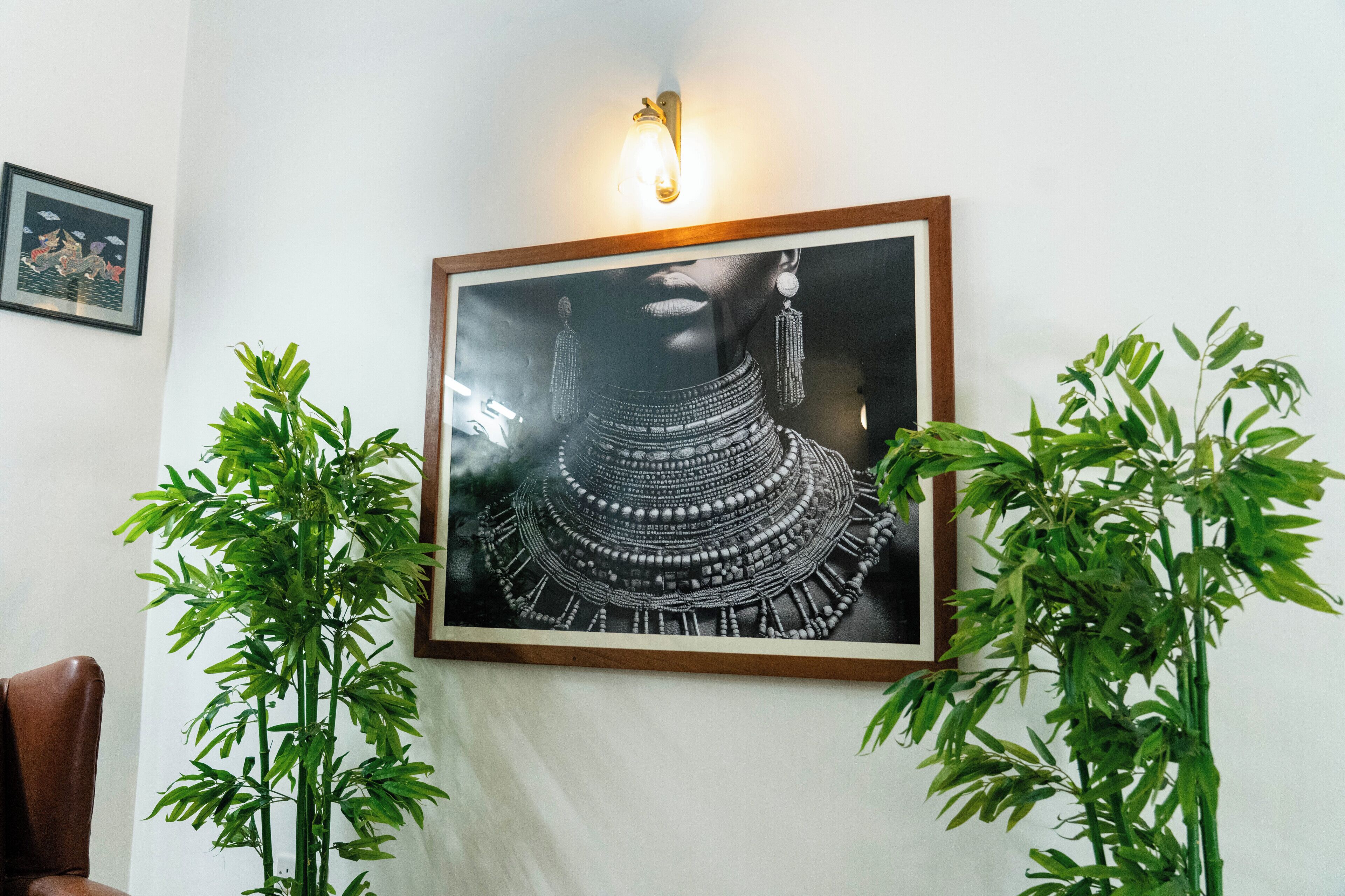 A framed artwork on a wall, flanked by two green plants.
