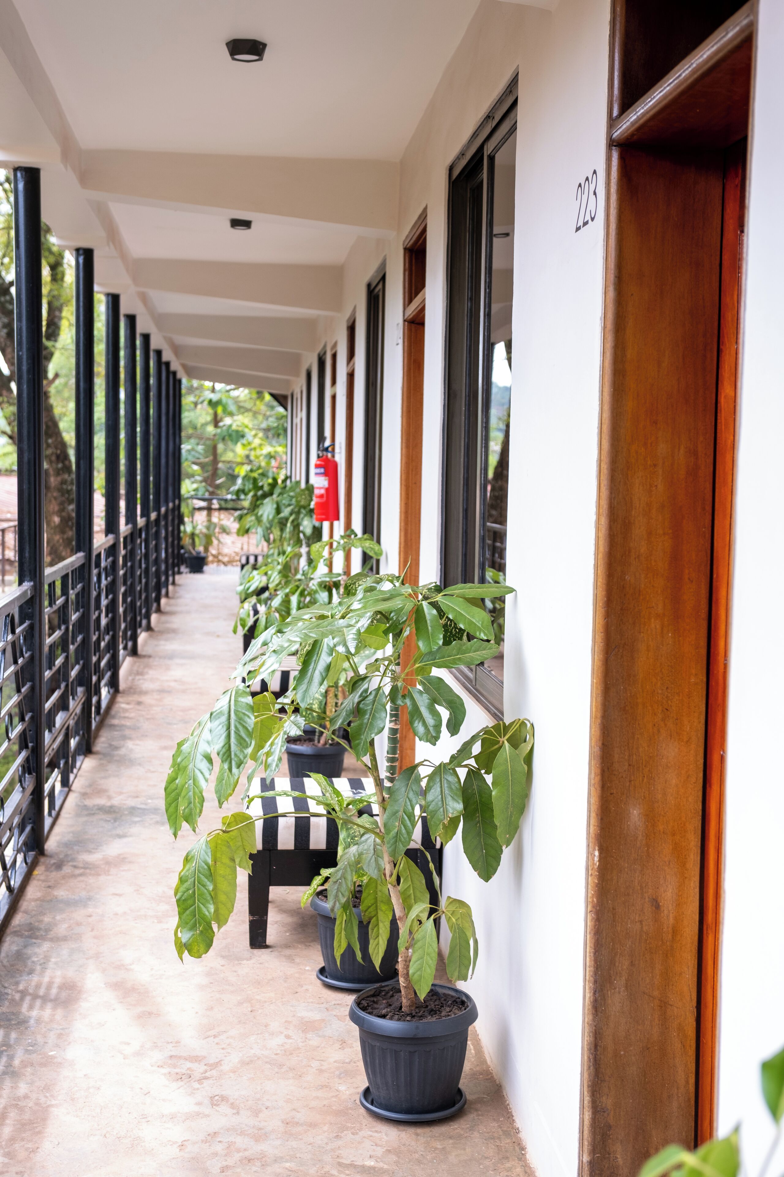 A covered corridor with potted plants, a fire extinguisher, and a bench.