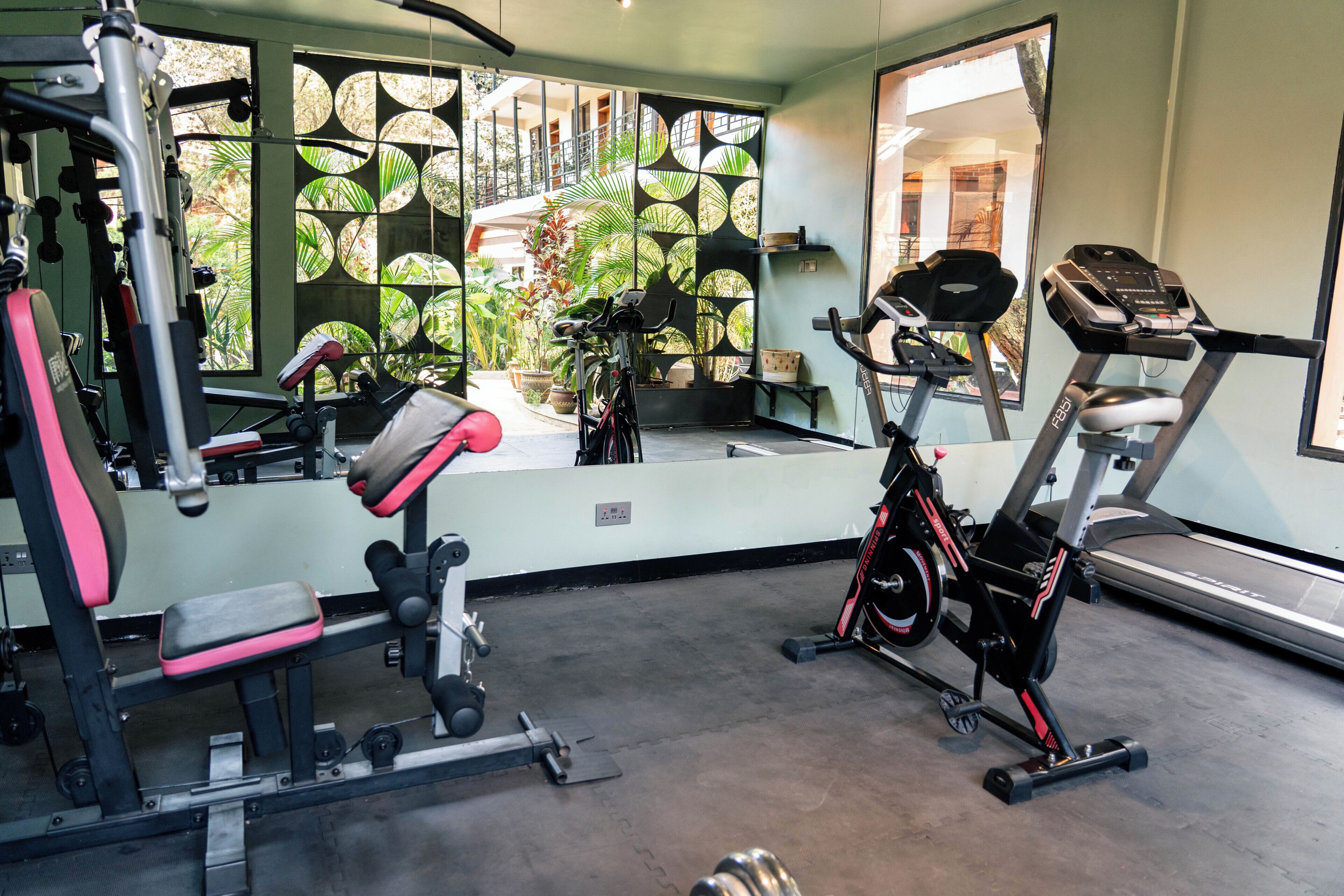 A gym with exercise equipment, a treadmill, and a window with a view of greenery.