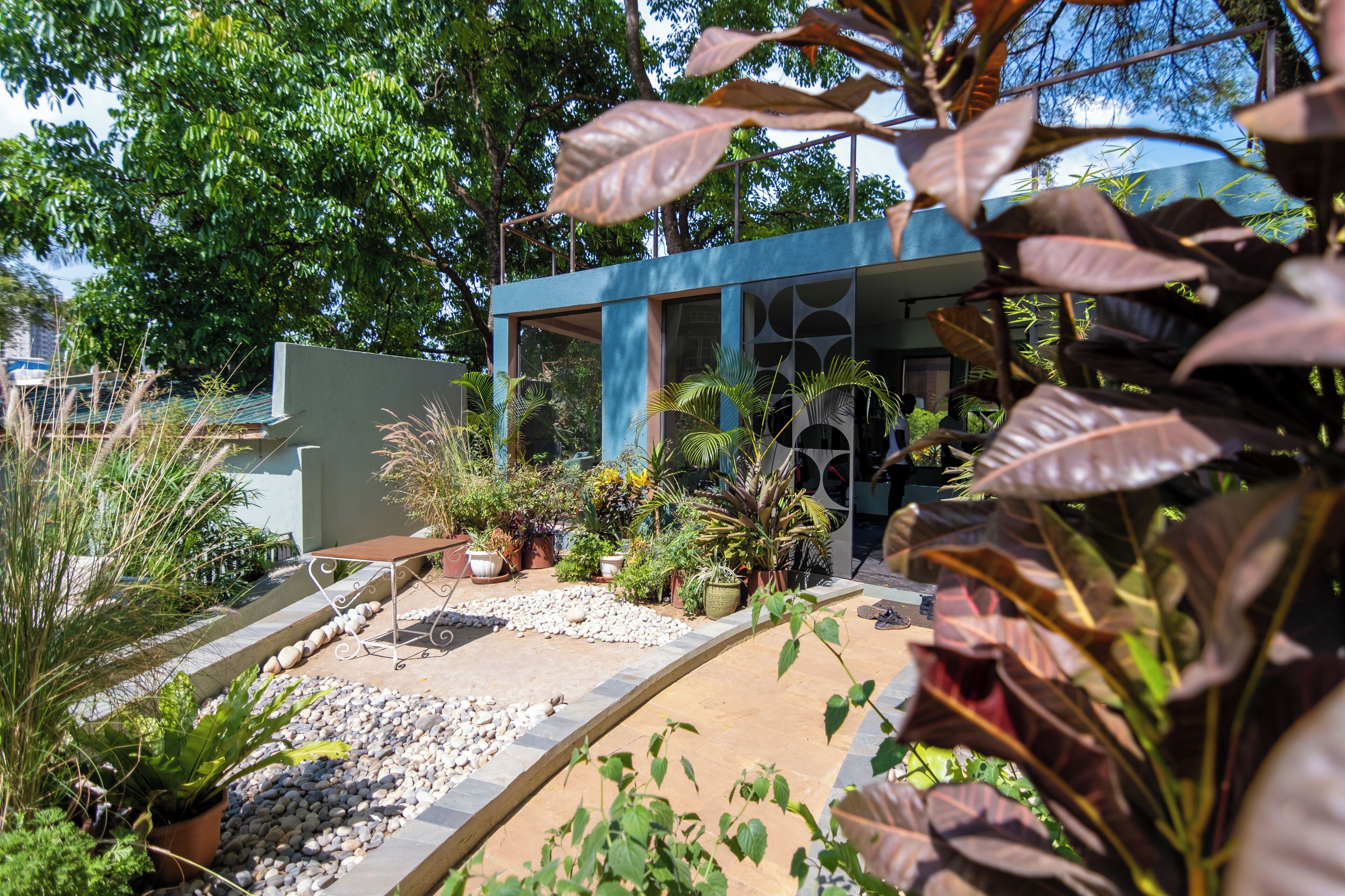A modern building with a glass facade, surrounded by a variety of plants and a stone pathway.