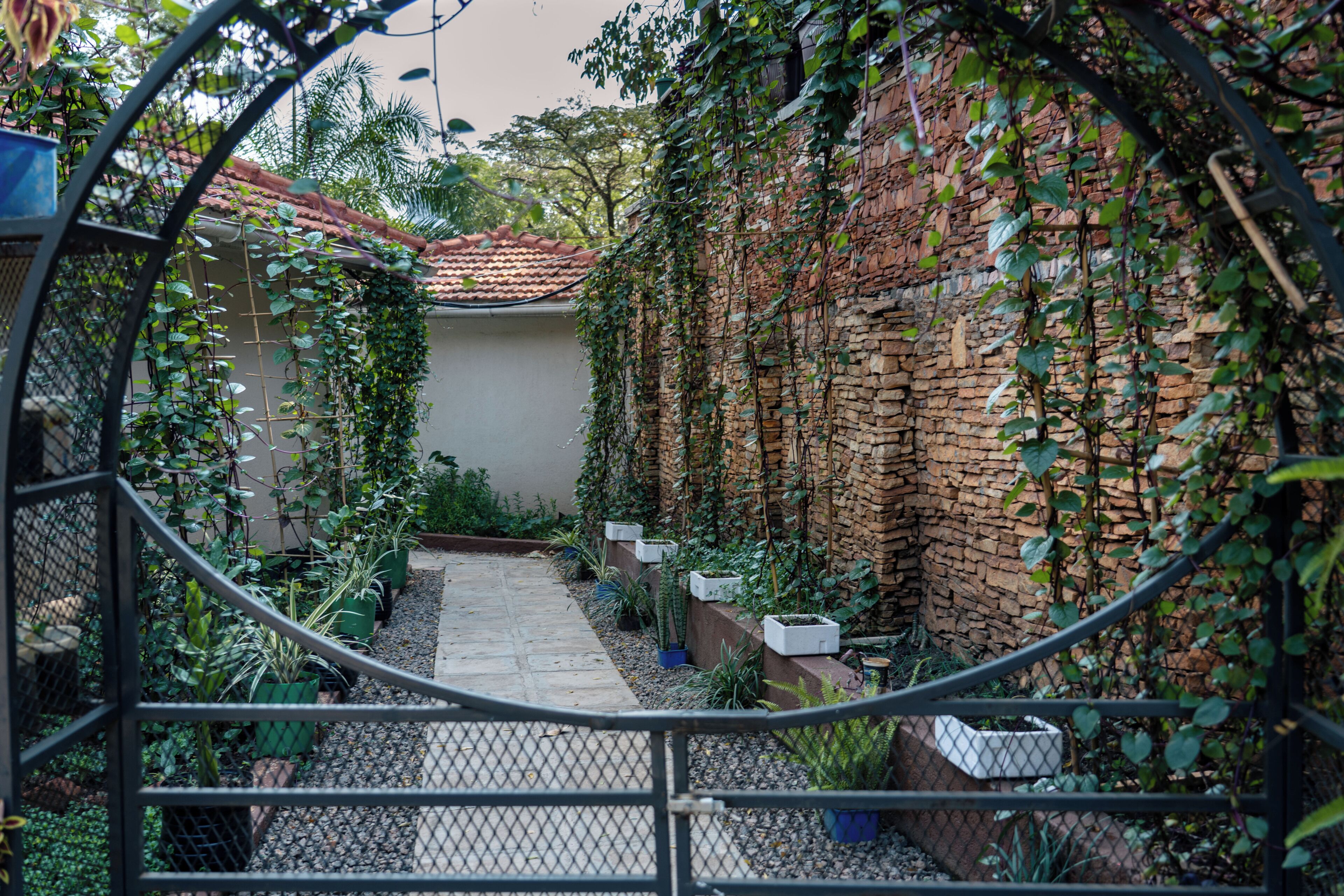 Un jardin avec un mur en briques, un toit en tuiles et diverses plantes.