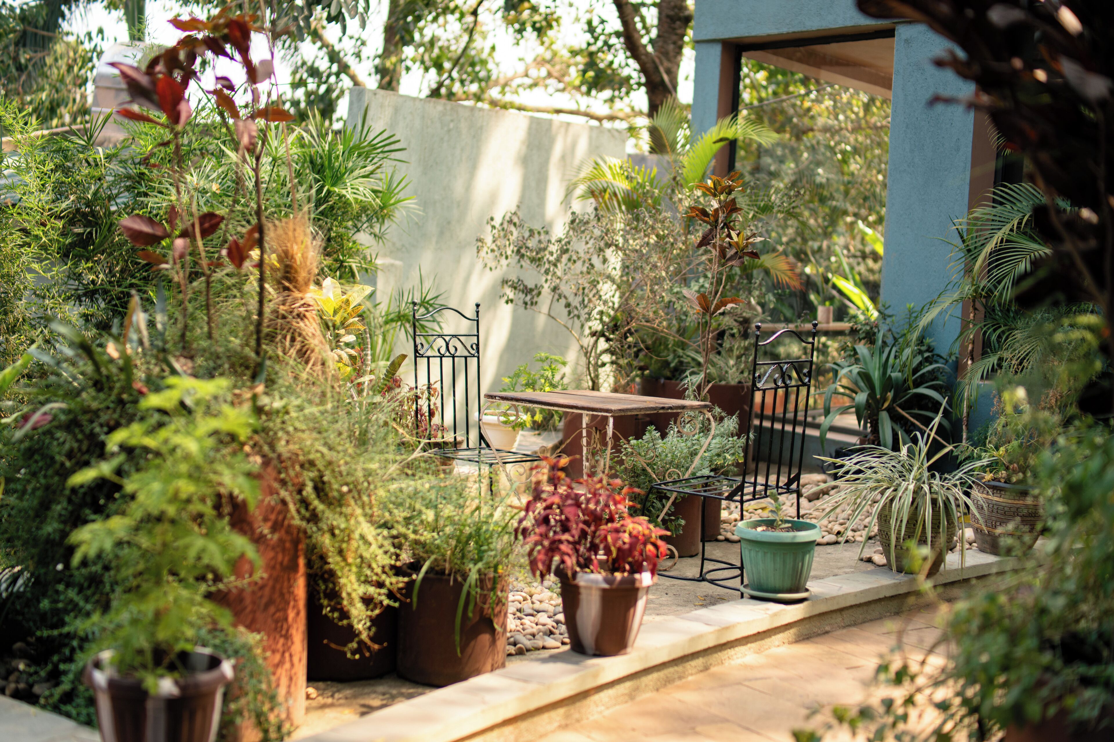 Un patio jardín con mesa y sillas, rodeado de macetas con plantas variadas y una pequeña fuente.
