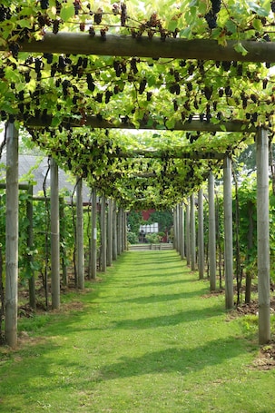 Vinícola. Flädie Mat & Vingård