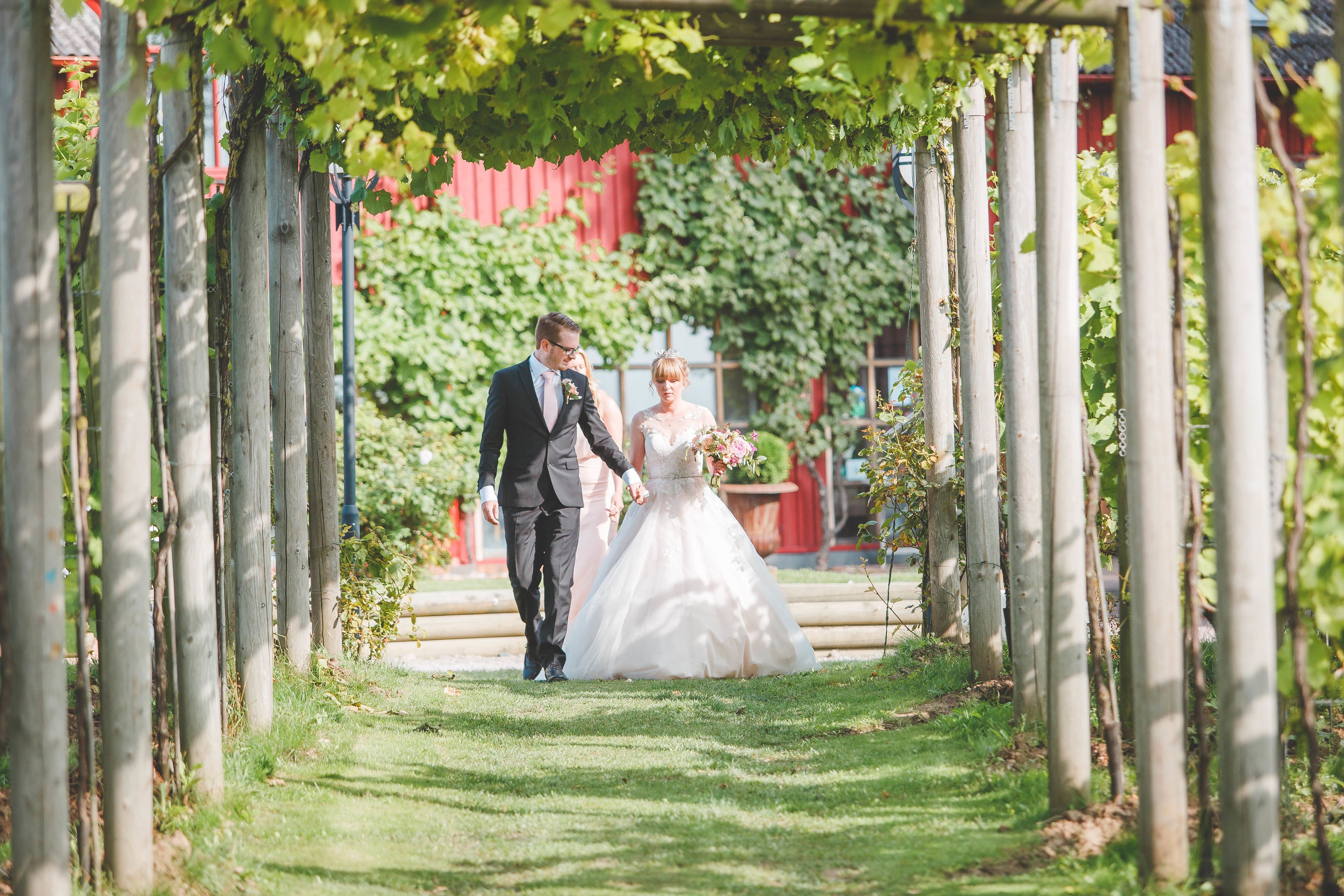outdoor wedding area