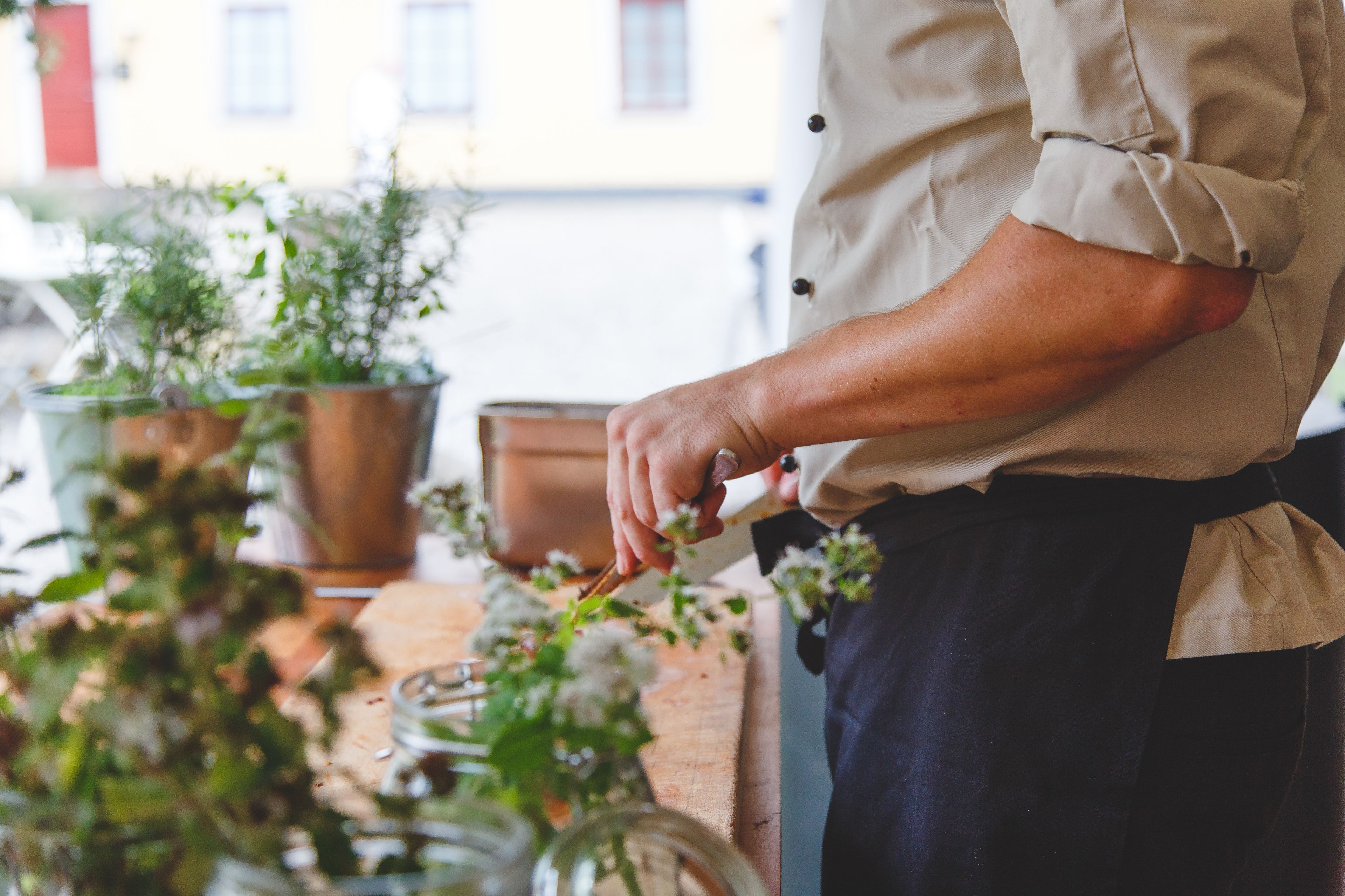 A person in a beige shirt and dark apron handling plants, with potted plants and a glass jar on a wooden surface.