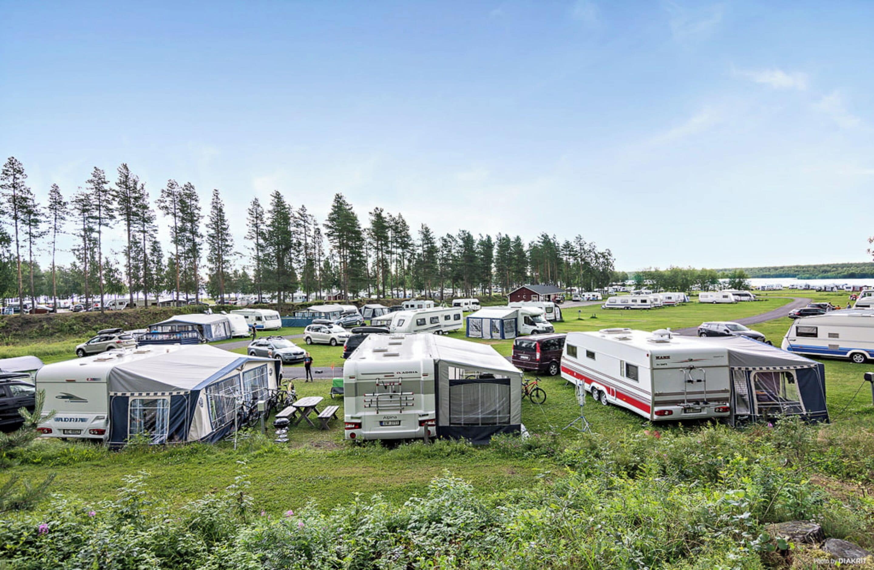 Un camping con vehículos recreativos y remolques estacionados en zonas verdes, rodeado de árboles.