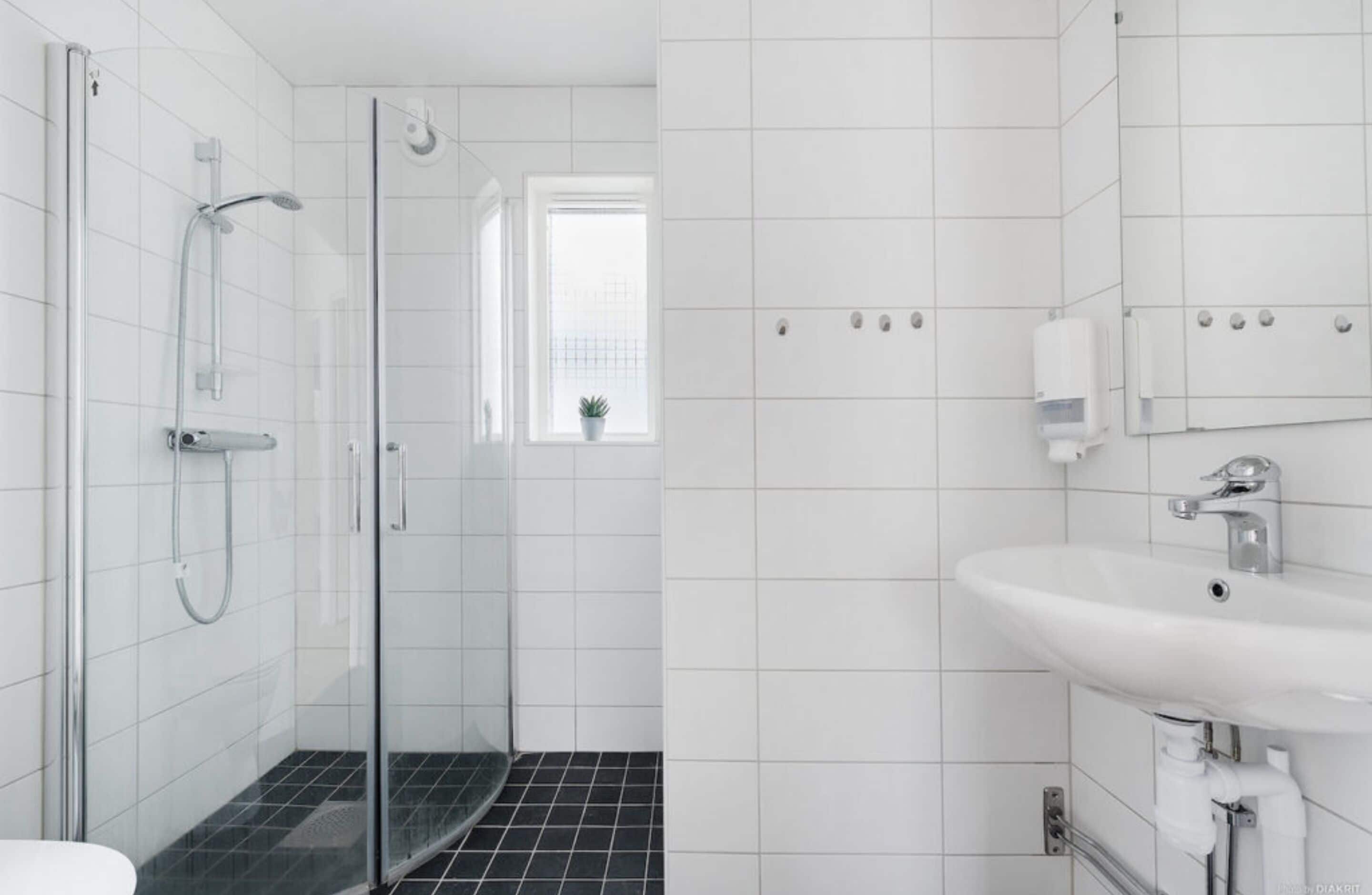 Un baño moderno con ducha de vidrio, un lavamanos blanco y un ventanal con una planta.