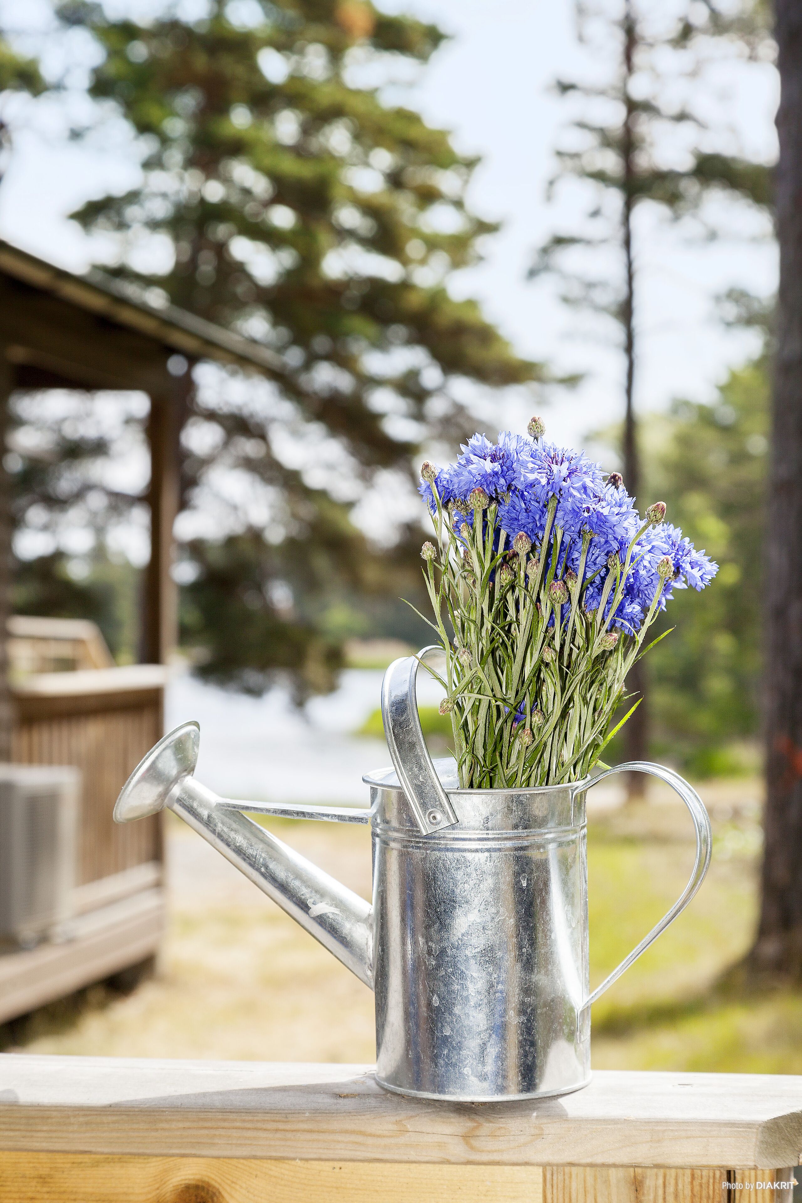Casa de campo, 1 habitación (2) | Vista desde la habitación