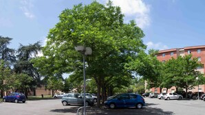 A parking area with cars, trees, and a building with multiple windows and balconies.