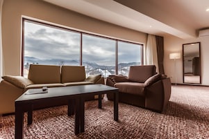 Minibar, iron/ironing board, free WiFi
