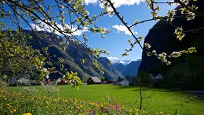 A rural landscape with a green field, blooming flowers, and houses in the background. - Visit Undredal (Aurland)
