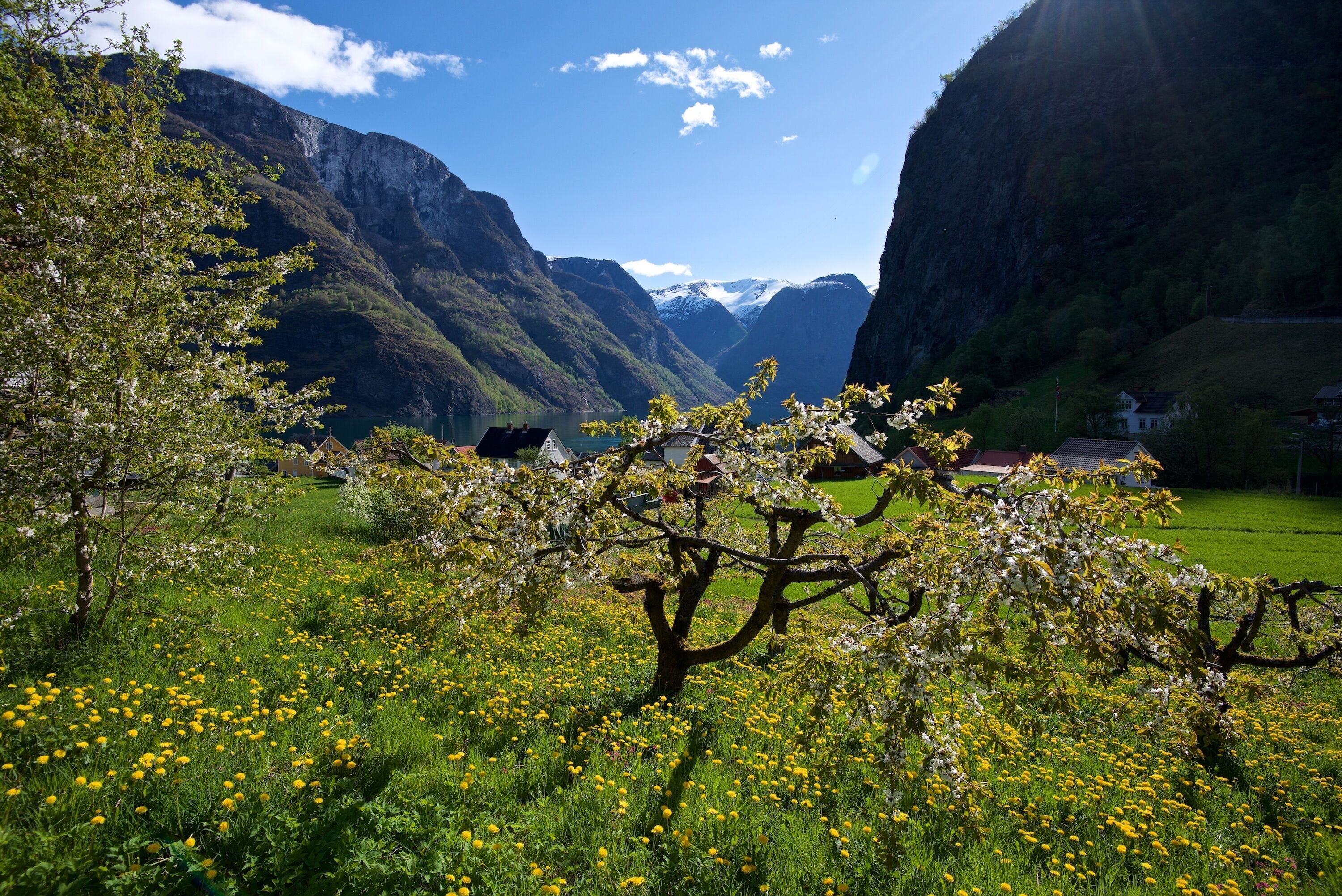 A mountainous landscape with a valley, blooming trees, and a small settlement.