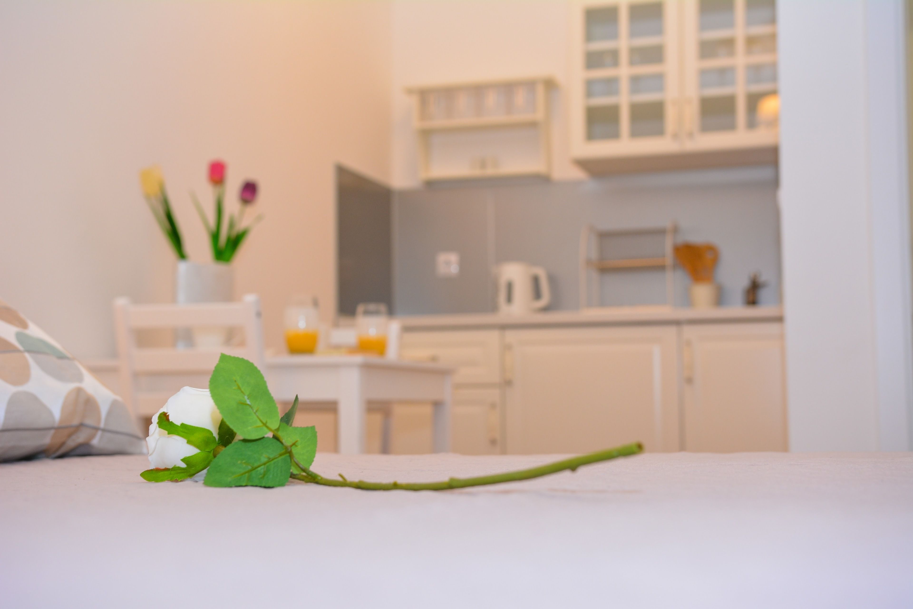 A white rose on a table in a modern kitchen with white cabinets and a coffee maker.