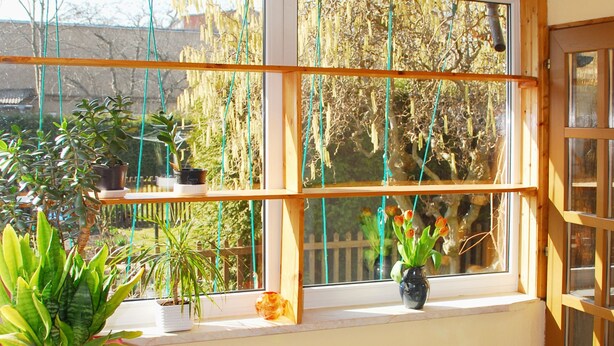 A room with a window, a table with potted plants, and a tiled floor.