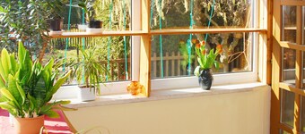 Pension Alter Zausel