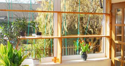 Pension Alter Zausel