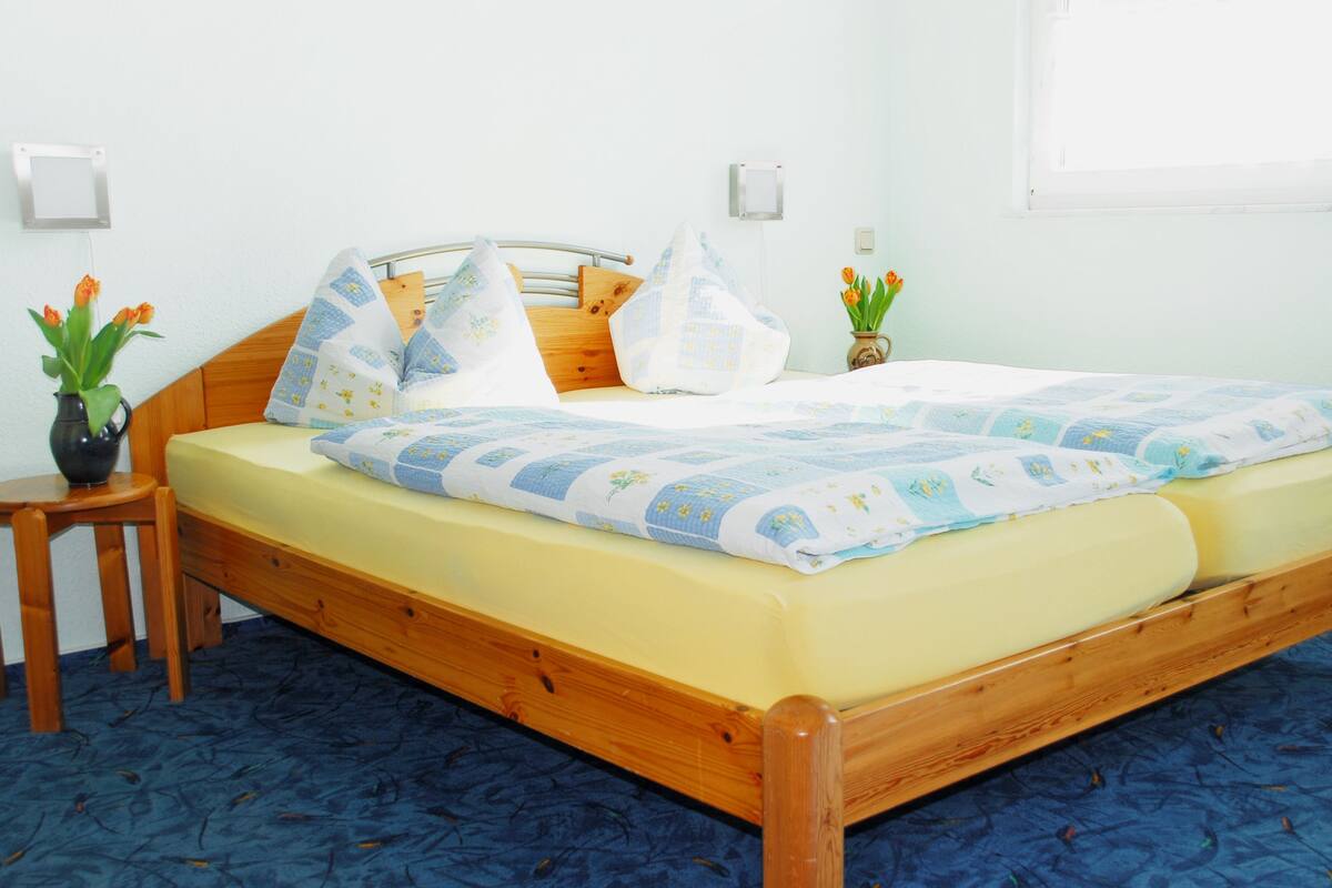 Desk, soundproofing, iron/ironing board (on request), rollaway beds