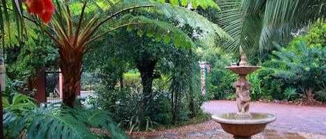 Jardin