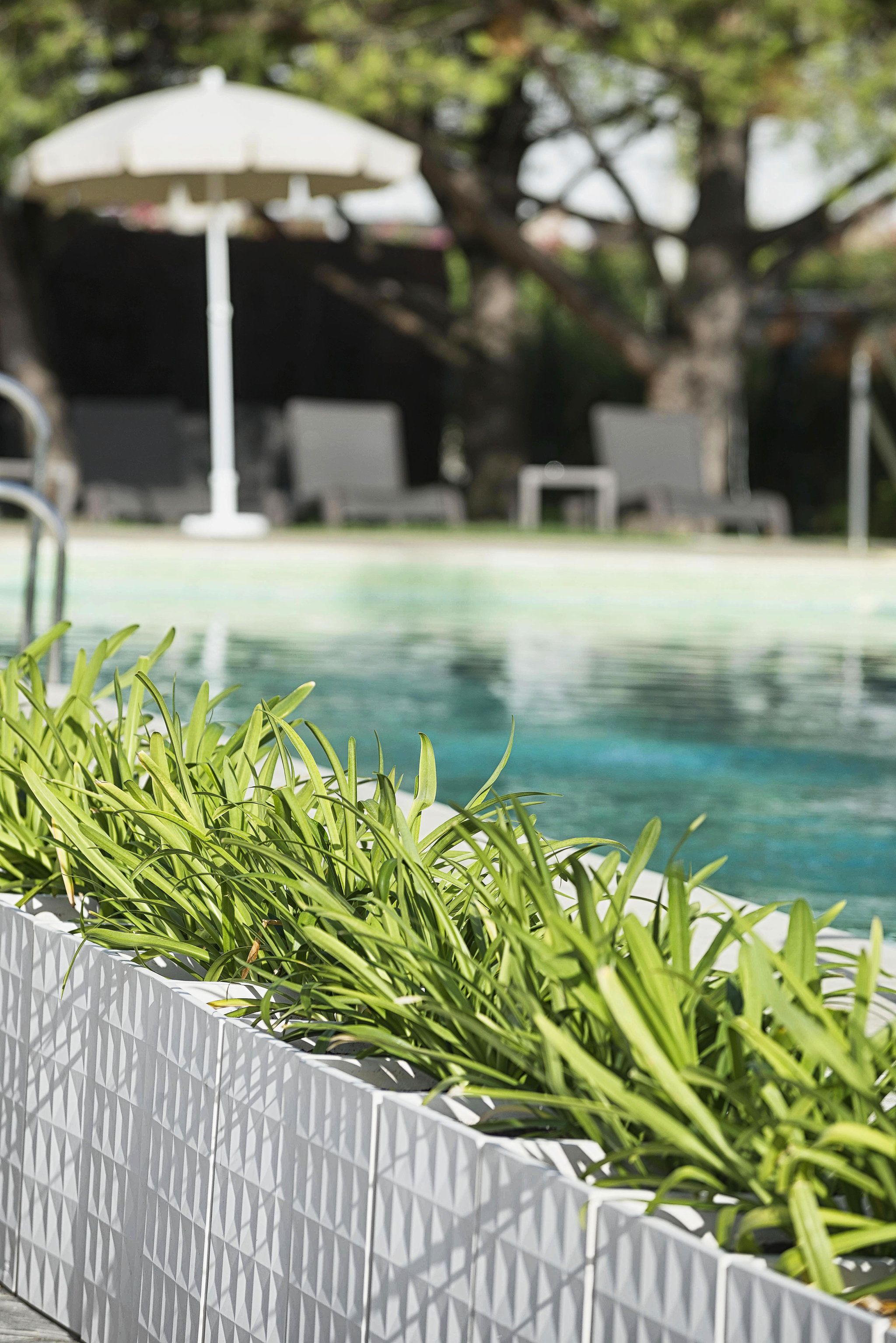 Une piscine, avec en premier plan un bac à fleurs géométrique blanc rempli de plantes vertes.