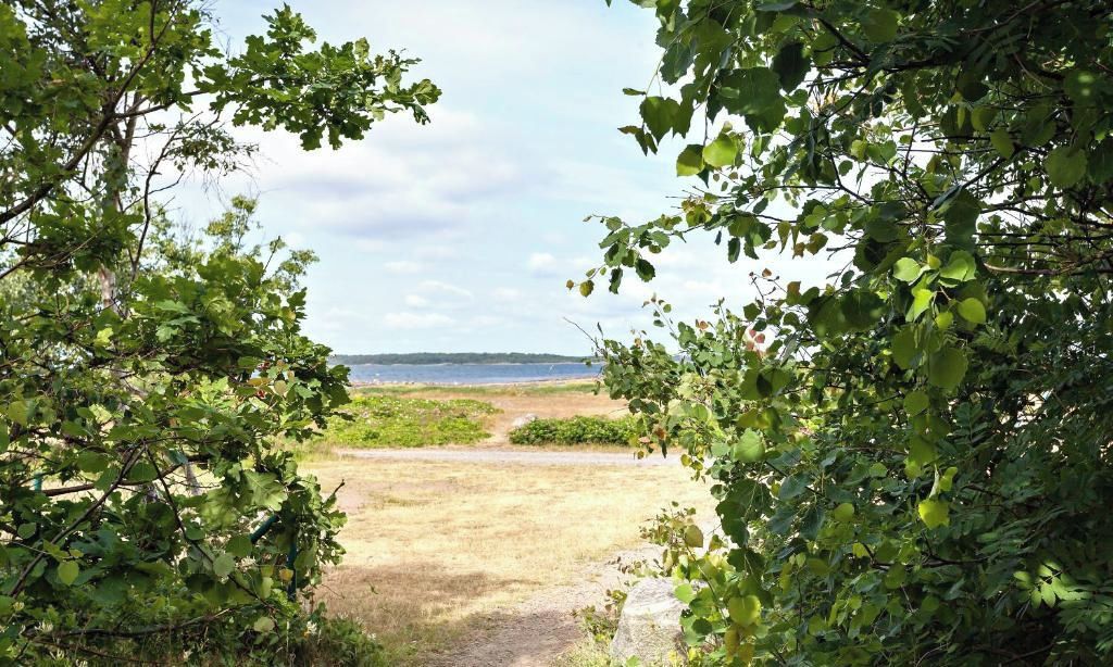A natural landscape with a dirt path leading to a body of water, surrounded by dense foliage.