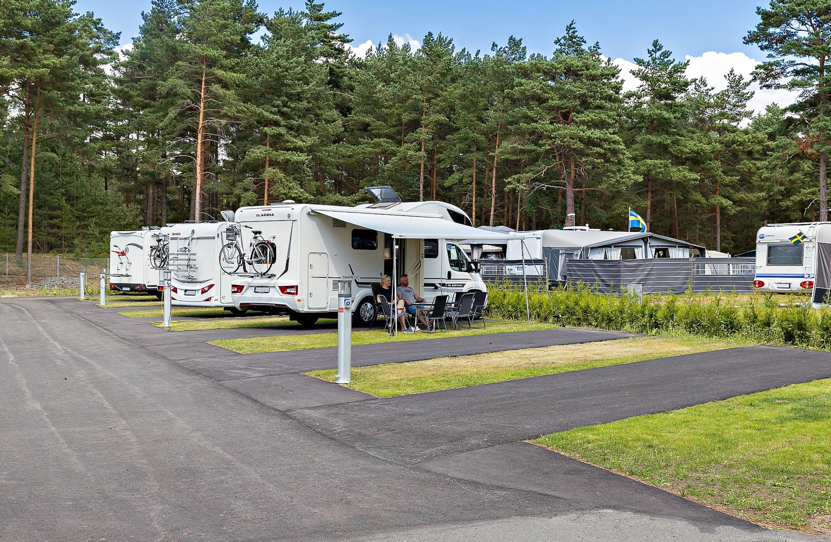 En campingplads med autocampere parkeret i afmærkede områder, omgivet af tætte fyrretræer.