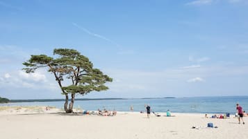 On the beach
