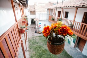 Vista desde la propiedad