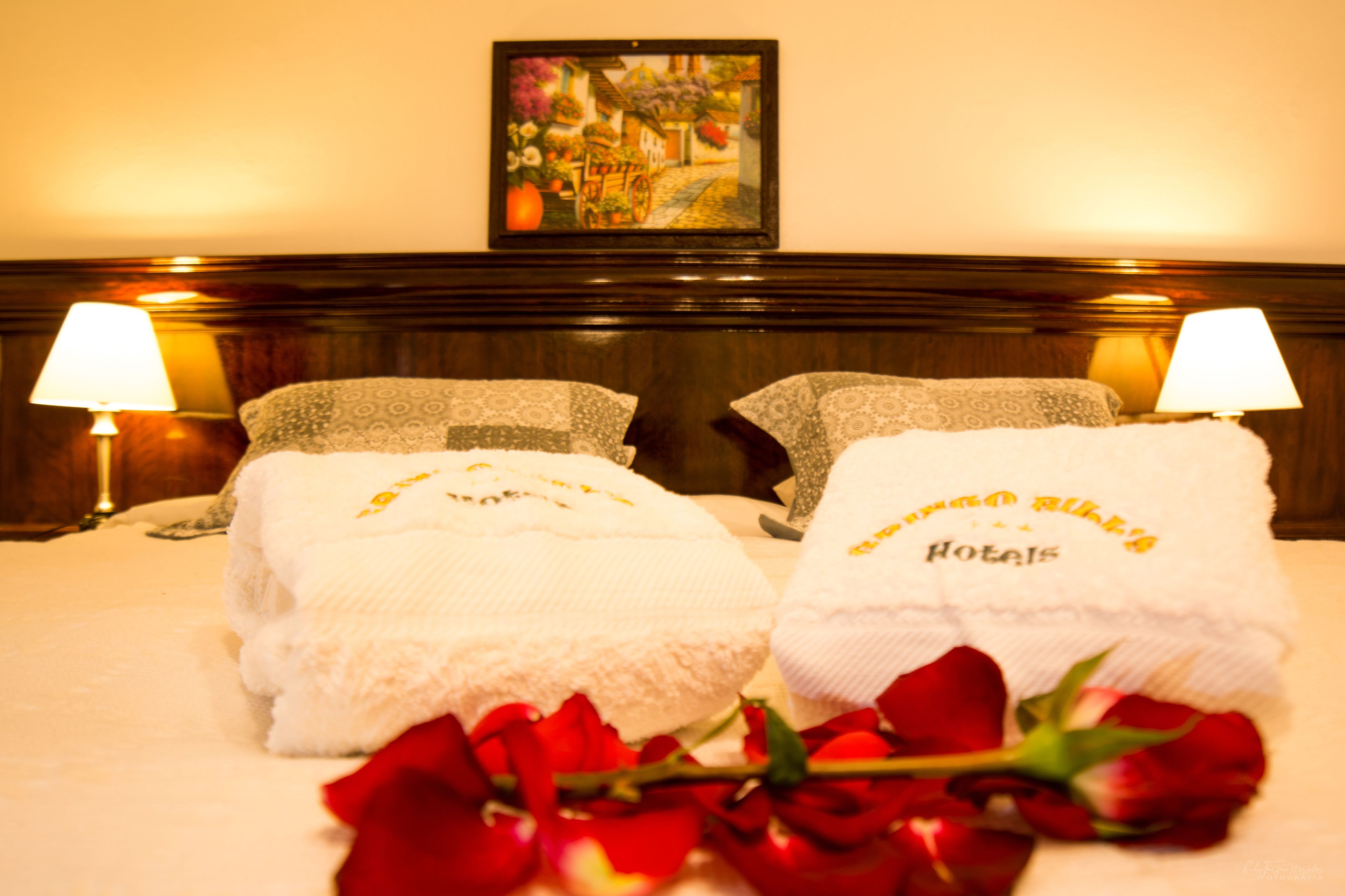 Photo - Gringo Bill's Cusco