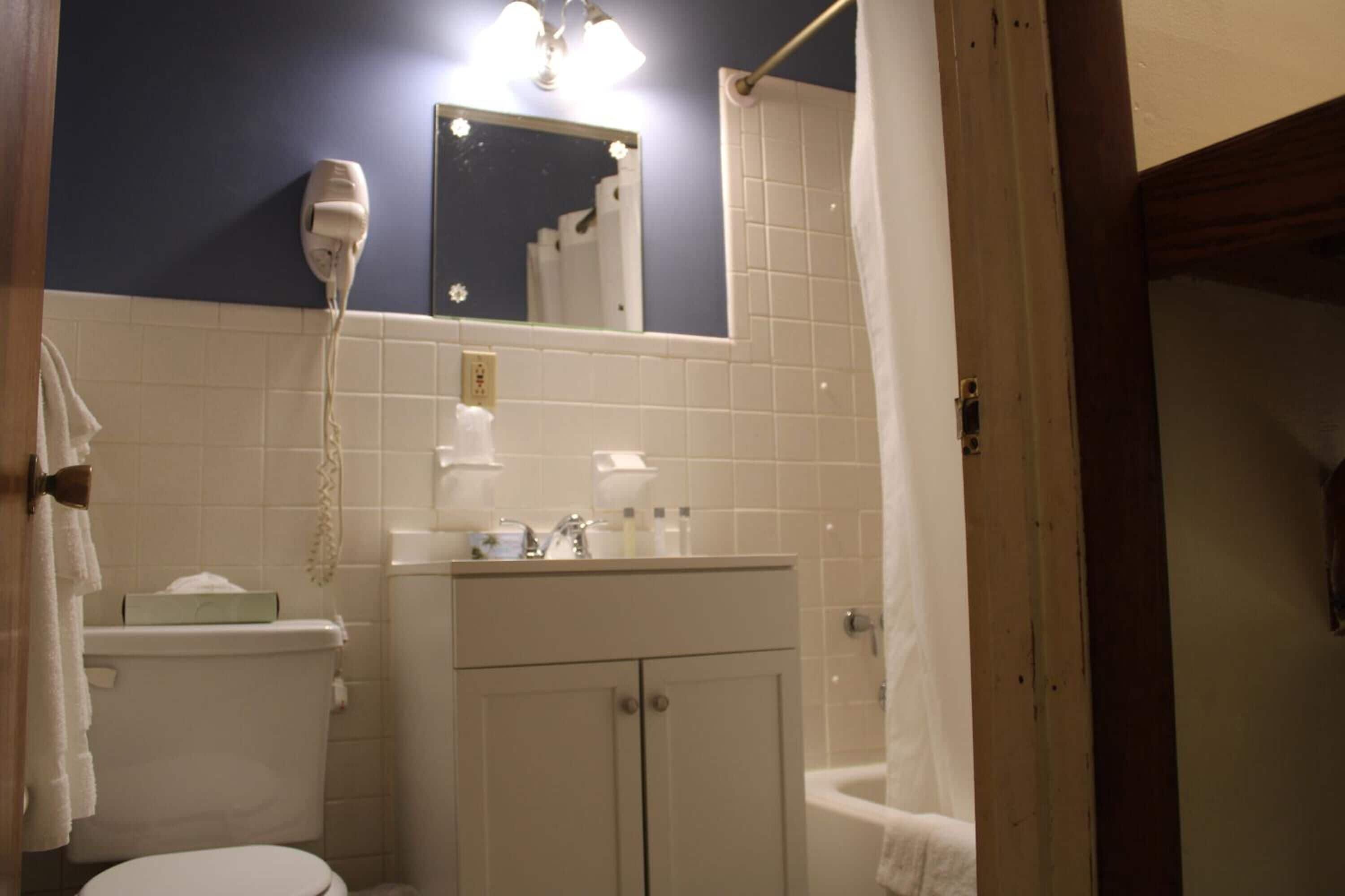 A bathroom with a white toilet, a sink with toiletries, a hairdryer, and a mirror.