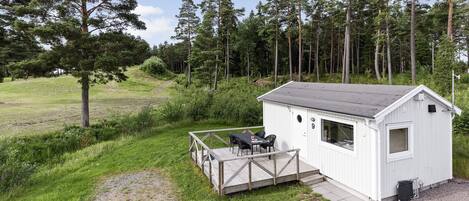 واي فاي مجانًا