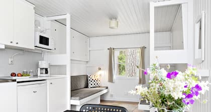 First Camp Kolmården
