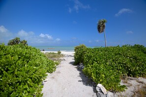 Property grounds - Chesters Bonefish Lodge (Chesters)